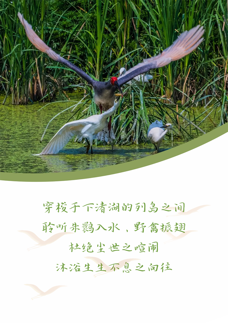 心心念廿 相伴bifa必发 | 与德清相约 贺廿载诞辰